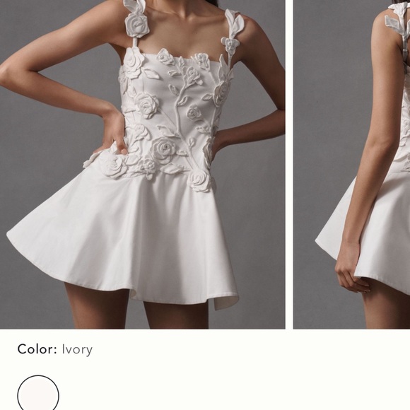 BHLDN | Dresses | Bhldn Floral Appliqu Fitandflare Mini Dress | Poshmark